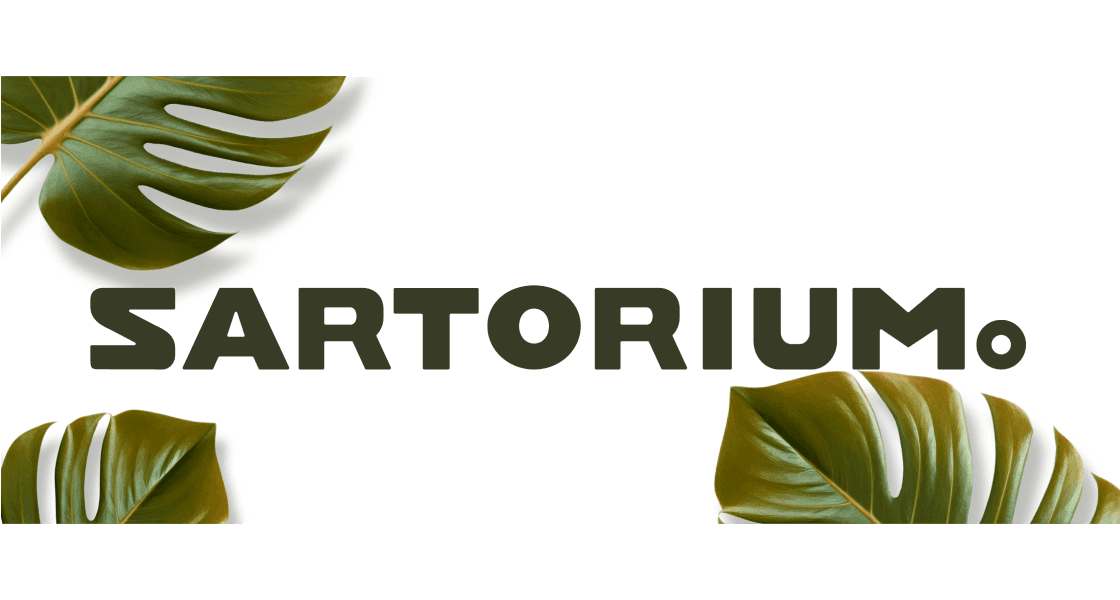 Portfolio Preview Image